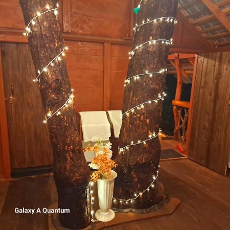 Green Leaf Tree House Dambulla Εξωτερικό φωτογραφία