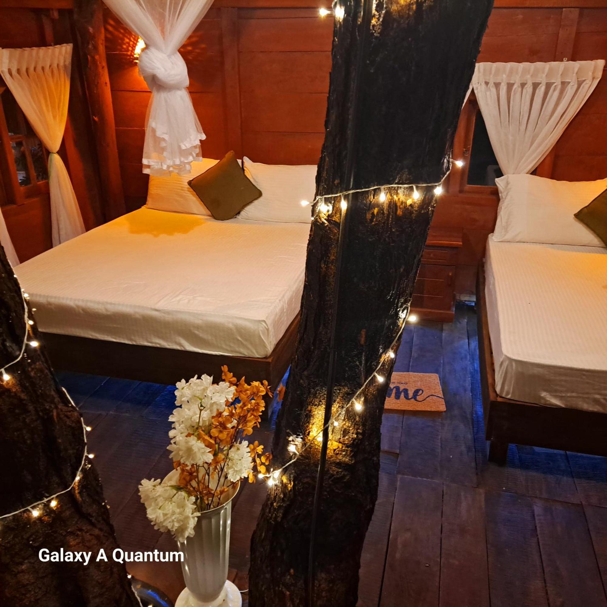 Green Leaf Tree House Dambulla Εξωτερικό φωτογραφία