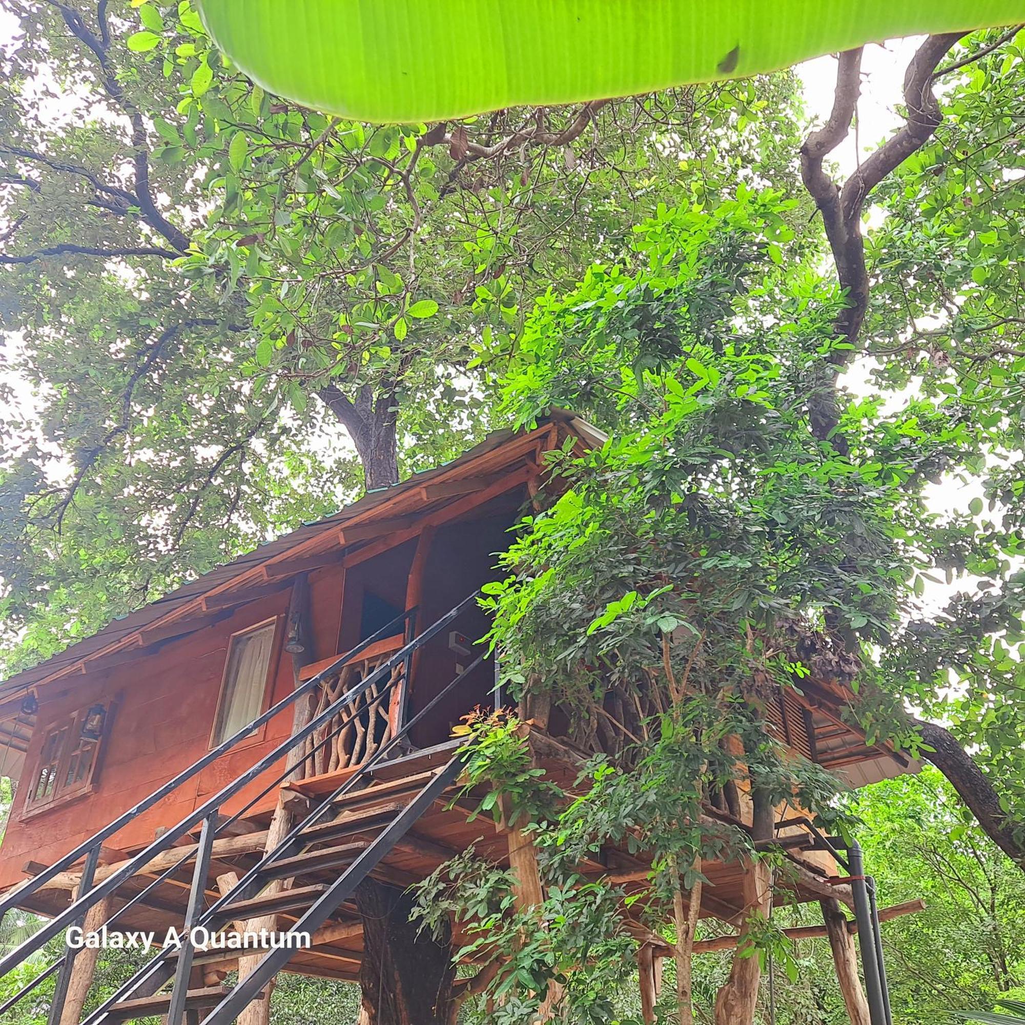 Green Leaf Tree House Dambulla Εξωτερικό φωτογραφία